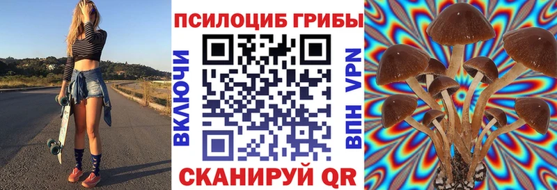 Купить  Новоаннинский  Галлюциногенные грибы Psilocybe 